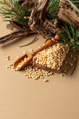 Peeled pine nuts with cedar snags and green branches.
