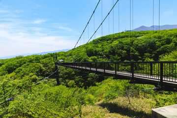 ツツジ吊り橋（栃木県那須町）