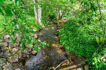 Fototapeta premium Small Park Stream