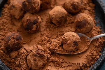 Fototapeta premium Artisanal chocolate truffles dusted with cocoa powder on a plate with a spoon