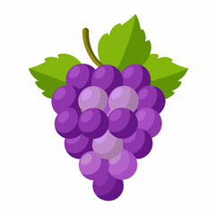 grape isolated on white background