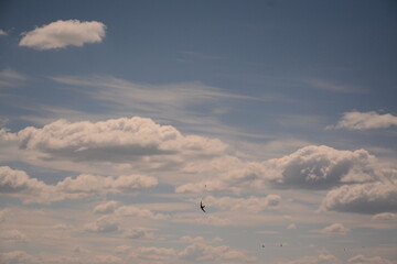 Blue sky in the clouds. Swifts are flying