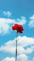 Vibrant carnation flowers against a clear blue sky, showcasing natural beauty.