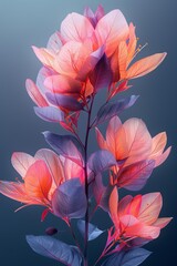 Vibrant close-up of pink and purple flowers against a dark background in studio lighting, showcasing vivid, delicate petals in full bloom.