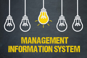 Management Information System  © magele-picture