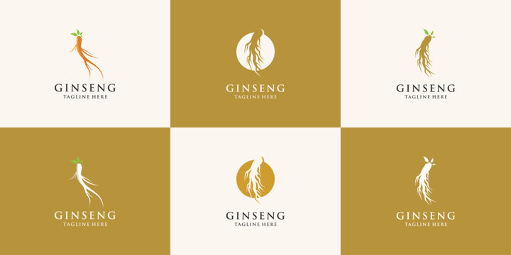 vector ginseng logo herbal plant vector natural herbal medicine ginseng herbal icon bundle Premium Vector