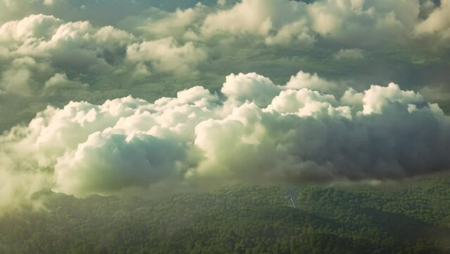 Aerial view of a cloud hovering over a dense forest below, creating a striking contrast of nature, A patch of clouds shaped like an animal, floating serenely by