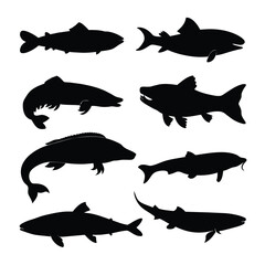 Set of Bowfin animal black silhouettes vector on white background