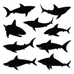Set of Bronze Whaler Shark animal black silhouettes vector on white background