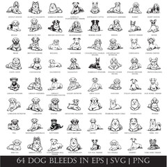 Set of 64 Dog Bleeds Vector Bundle in EPS, PNG, SVG | black line art 