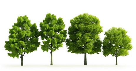 Fototapeta premium Four lush green trees stand in a row against a white background.