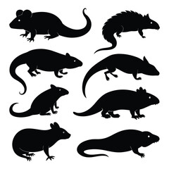 Set of Brookesia Micra animal black silhouettes vector on white background