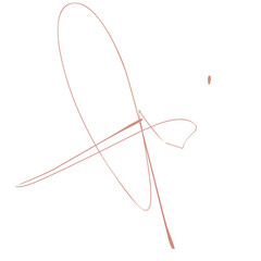 Hand drawn signature 