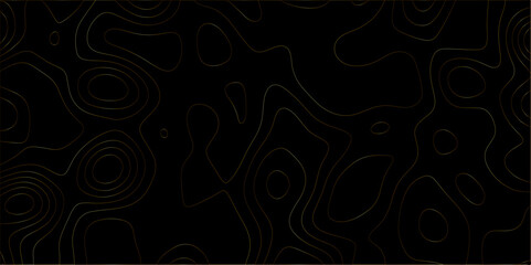 Abstract lines background. Contour maps. Vector illustration. The stylized height of the topographic map contour in lines and contours isolated on transparent. technology topo landscape grid map text.