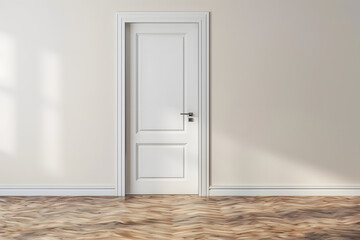 Close up of closed modern door in building. 3D style.