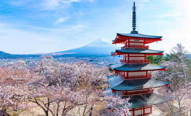Arakurayama Sengen Park (新倉山浅間公園) with Japanese Cherry blossoms, Sakura, in front of the city of Fujiyoshida at mount Fuji