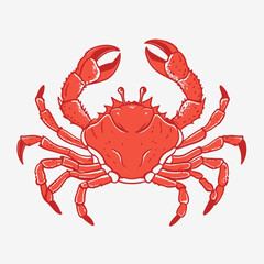 red crab isolated on white