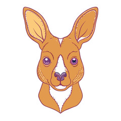 illustration of a kangaroo