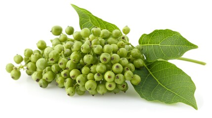 A bunch of green berries on a leaf