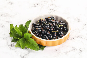 Juicy black currant berries in the bowl