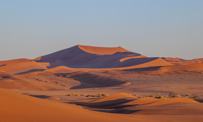 the world's largest sand dunes in Namibia, Africa, sunset colors	