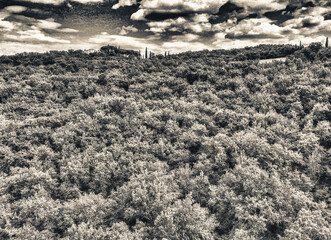 Aerial view of Tuscany Hills in spring season
