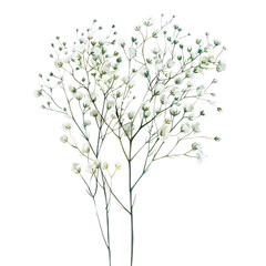 Lilac Branches in Bloom: A fresh, floral scene of lilac branches with pink and white blossoms against a green backdrop of leaves and stems, capturing the essence of spring