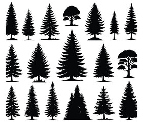 Pine tree silhouettes. Evergreen forest firs and spruces black shapes, wild nature trees templates. Vector illustration of woodland trees set on a white background design.