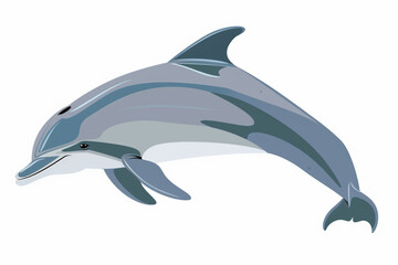Obraz premium vector dolphin, simple design, isolated on white