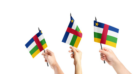 A group of people are holding small flags of Central African Republic in their hands.