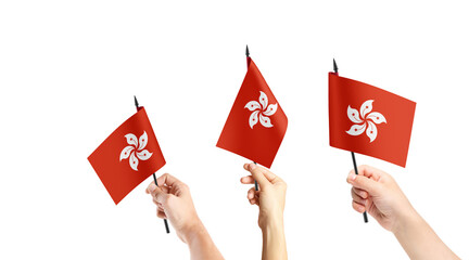 A group of people are holding small flags of Hong Kong in their hands.