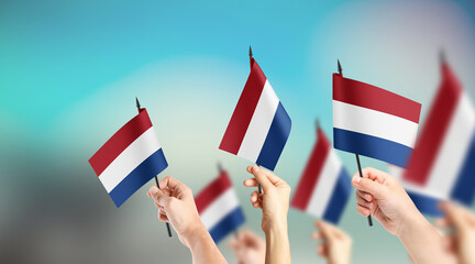 A group of people are holding small flags of Netherlands in their hands.