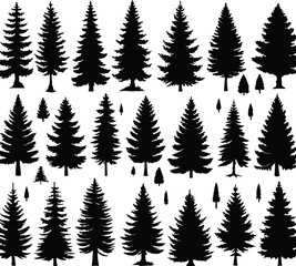 Fototapeta premium Pine tree silhouettes. Evergreen forest firs and spruces black shapes, wild nature trees templates. Vector illustration of woodland trees set on a white background design.