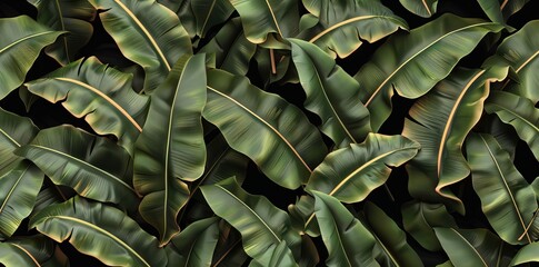 tropical banana leaf texture in garden, abstract green leaf wallpaper, large palm foliage nature dark green background. AI generated illustration