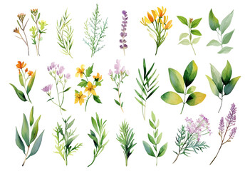 Set of floral branch elements. Flowers and green leaves. Wedding with floral poster, invite. Vector arrangements for greeting card or invitation design vector illustration