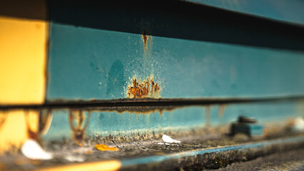 von blumen insekten und wolken