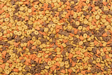 Dry pet food (dog or cat) multicolored and detailed background. Animal nutrition concept