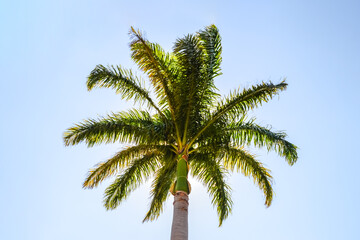 Obraz premium Strand, Küste von Hawaii, Insel Kauai 