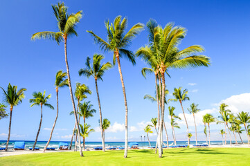 Strand, K&uuml;ste von Hawaii, Insel Kauai 