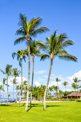 Strand, K&uuml;ste von Hawaii, Insel Kauai 