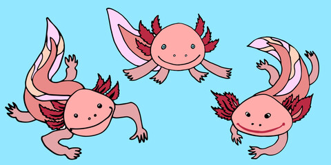 axolotl set of vector images on a blue background