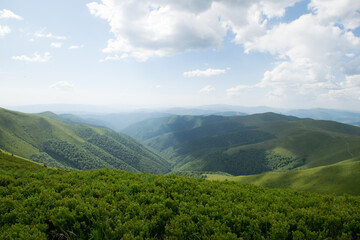Obraz premium Carpathian mountains, Borzhava valley, Ukraine