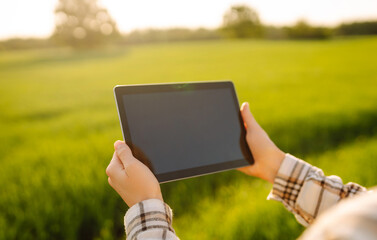 Smart farm. Woman Farmer with tablet in green field. Farming business and irrigation concept.