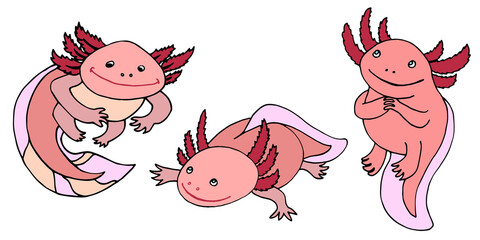 axolotl set of png images isolated clear background