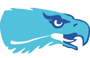 dolphin jumping out of water