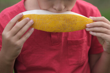 Focused on the moment, a child relishes his melon, with the fruit s vibrant color contrasting beautifully against his red shirt. A picture of healthy indulgence.