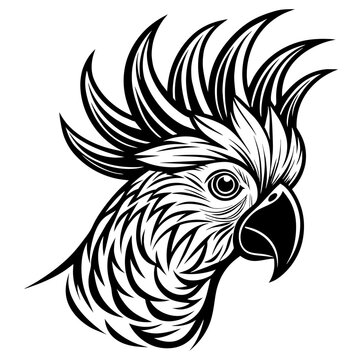 recommend clip art: Detailed vector illustration of a cockatoo head with intricate feather patterns in black