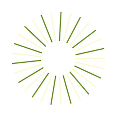 Fototapeta premium An abstract isolated retro boho sunburst shape design element.