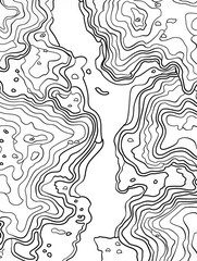 Fototapeta premium topographic map, contour illustration, thin lines, white color, high detail