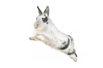 アナログタッチ、手描き風の可愛いネザーランドドワーフ、跳ねる、ジャンプする兎のイラスト　卯年　年賀状　AI生成画像